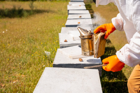 close-up of the hands of a beekeeper with orange gloves and smoker handling a hive