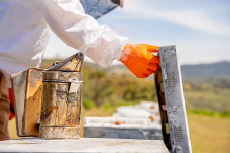 beekeeper opening and checking his bee hives using his beekeeping smokerの写真素材