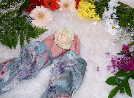 Woman hands holding a white rose on white texture with flowers frame.