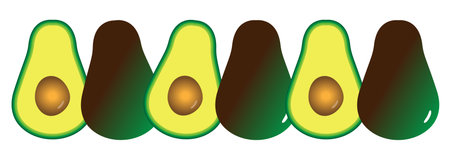 Group of halved avocados isolated on white background. Vector illustration.