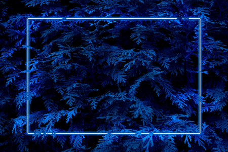 Leaves with neon light frame