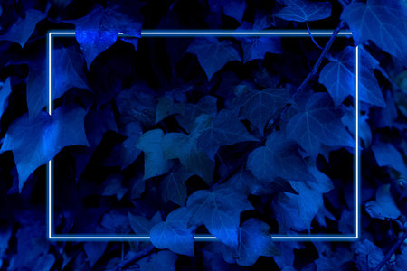 Blue colored tree leaves background with neon light frame