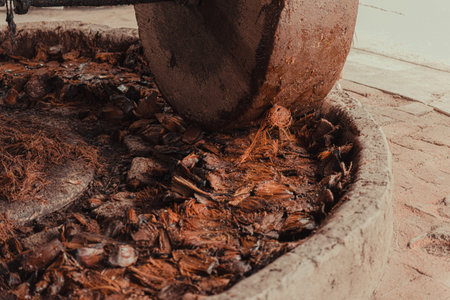 Process of elaboration of Oaxacan mezcal