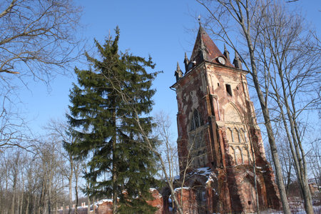 gothic tower in the forestの写真素材