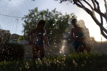 Silhouettes of children who play with the water that comes out of the sprinklers to water a garden with the sun against the light reflecting in the drops of waterの写真素材