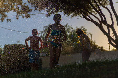 Silhouettes of children who play with the water that comes out of the sprinklers to water a garden...