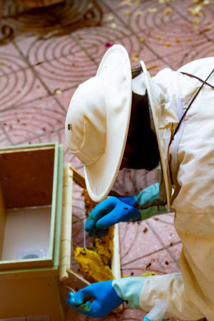 A beekeeper working in house where the bees have put a swarm in a door during the lock-down