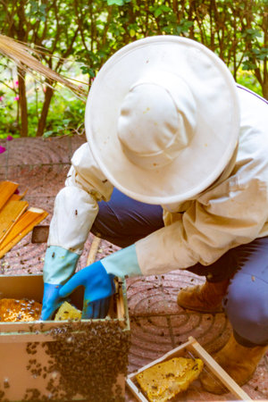 A beekeeper working in house where the bees have put a swarm in a door during the lock-down