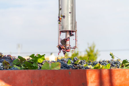 Automatic sampler for trucks extracts grapes from the vintage to analyze their glucose level and...