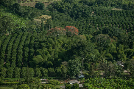 landscapeの写真素材