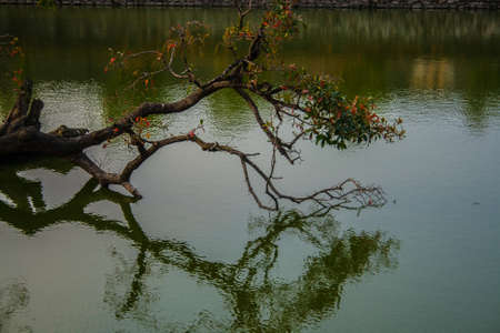 Lake in the imperial city of Hueの写真素材