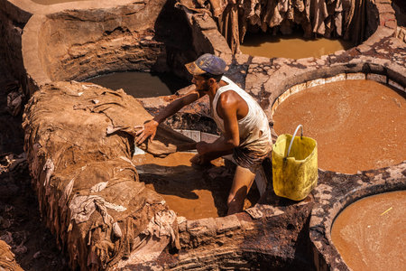 Man at work in a tannery in Fez, Morocco