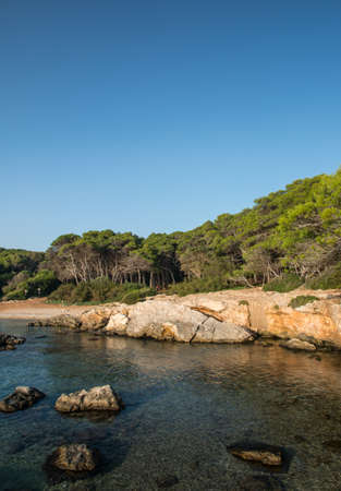 Natural park of Porto Selvaggio in Salento, Apulia, Italy.の写真素材