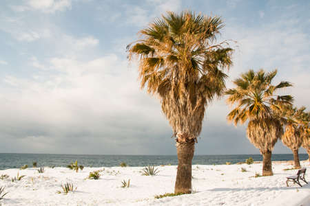 Ionian coast after a exceptional snowfall. 
Jan 2017, Salento, Italy.の写真素材