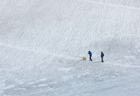 Hikers walking uphill on path in the snow with dog in the Stelvio national park, Italyのeditorial素材