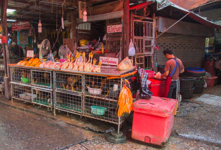 chickens on sale at klong toey market, Bangkok, Thailandのeditorial素材