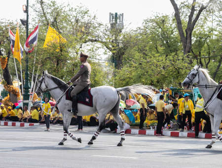 horses near the Ministry of Defense for the coronation of His Majesty King Maha Vajiralongkorn Bodindradebayavarangkun or King Rama X, Bangkok, Thailandのeditorial素材