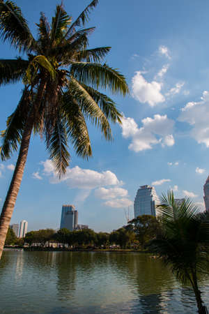 Cityscape at Lumpini park, Bangkok, Thailandの写真素材
