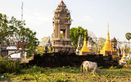 Cow near Nokorbachey buddhist pagoda, Kampong Cham, Cambodiaの写真素材