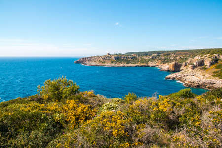 Watchtower near ionian sea (Uluzzo tower in Porto Selvaggio) Apulia, Salento, Italyの写真素材
