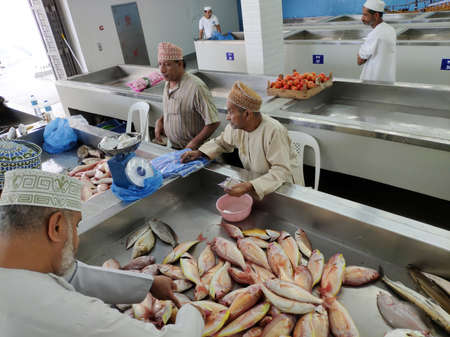 new fish market in Muscat, capital of Omanのeditorial素材