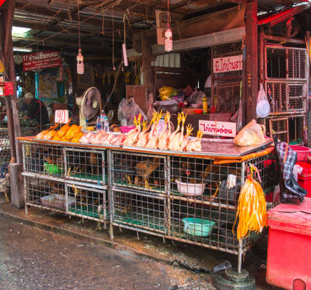 chickens on sale at klong toey market, Bangkok, Thailandのeditorial素材
