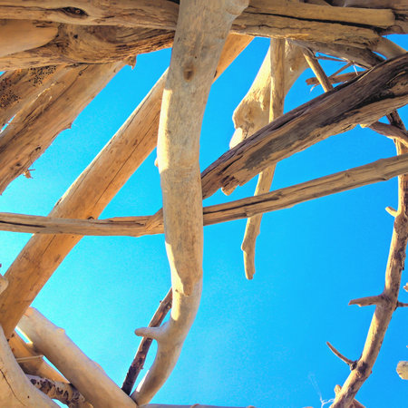 Tree branchesの素材