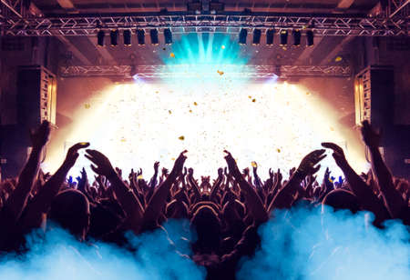 Concert photography during a gig,this is the point of view of the crowd in front of a stage during a music festival.の写真素材