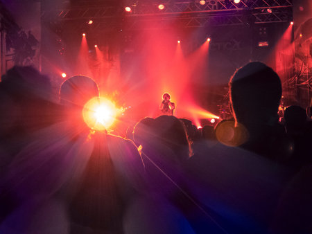 Concert hall during a music festival