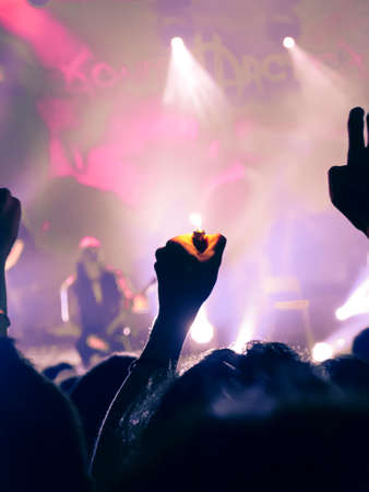 Concert hall during a music festivalの写真素材