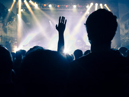 Concert hall during a music festival