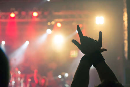 Concert photography during a gig, this is the point of view of the crowd in front of a stage during a music festivalの写真素材