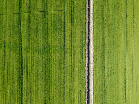 Aerial view of a country road through a green agricultural field.