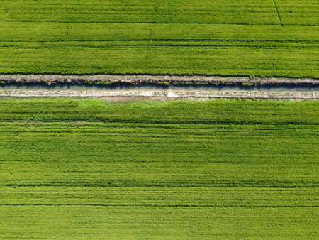 Aerial view of green agricultural fields in Poland. Rural landscape.