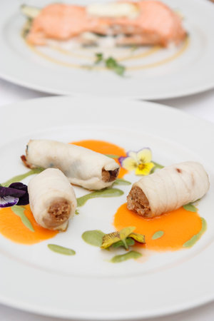 Fried spring rolls with salmon and vegetables on a white plate.の写真素材