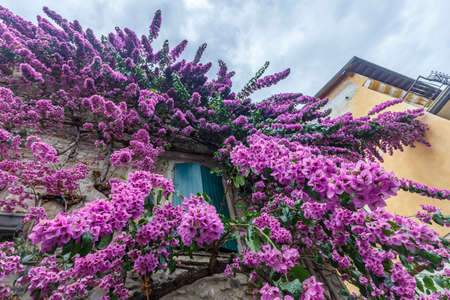 Sirmione, Italy - July 18, 2021:のeditorial素材
