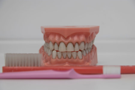 Close up detail of invisalign medical equipment on white background.
