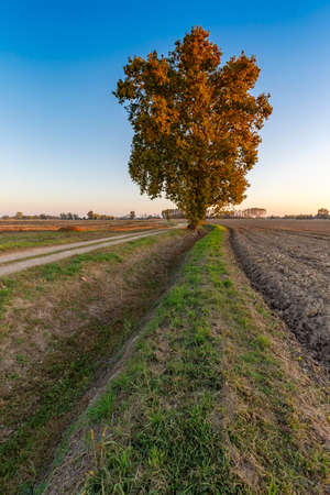 Countryside sunset landscape with vivid colors. No people are visible.の写真素材