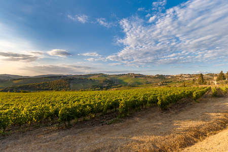 San Gimignano, Italy - August 19, 2021: panoramic view shot in a bright and sunny day in San Gimignano, Tuscany. No people are visible.のeditorial素材