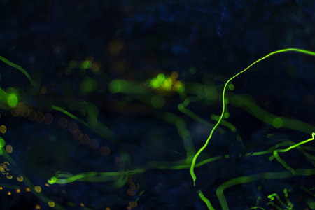 3d render, abstract background with bokeh defocused lights