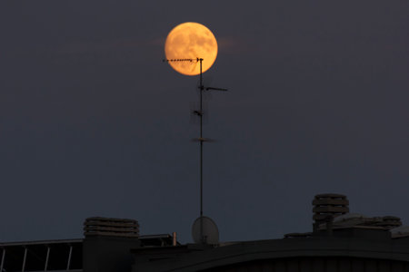 Full blood red moon in a city sky, tv antennas are visible in the foreground. Image shot at 300mm.の写真素材