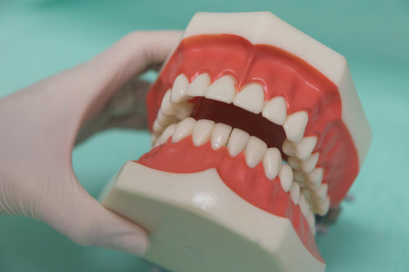 Close up detail of dentist tools for healthcare and surgery.の写真素材