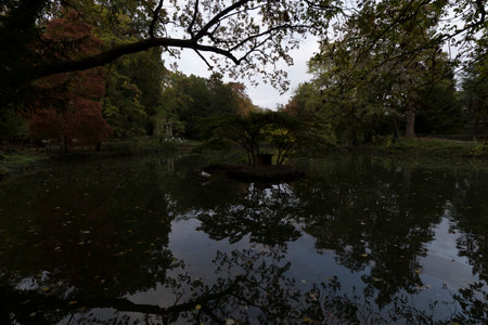 Autumn in the park. Reflection of trees in the water.の写真素材