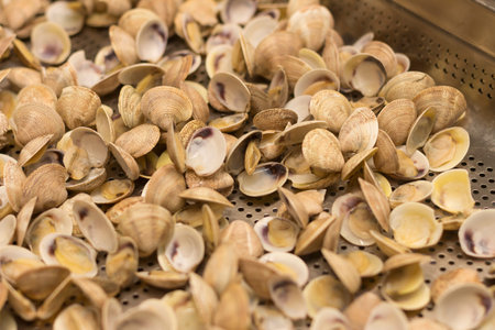 Raw fresh clams ready to cook, closeup of clams
