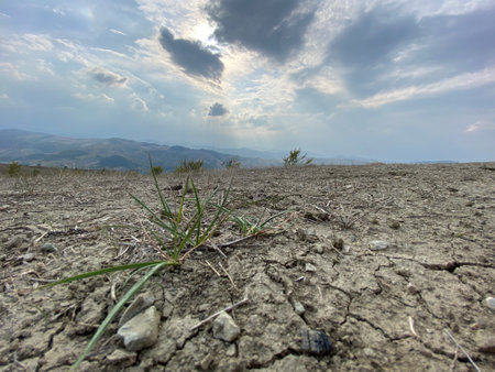 Dry cracked earth background. Drought land. Global warming.の写真素材