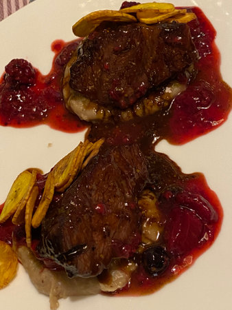 beef tenderloin with cranberry sauce on a white plateの写真素材