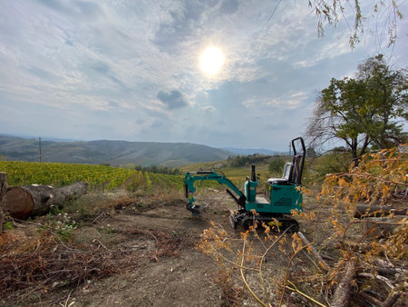Tuscany vineyard in autumnの写真素材