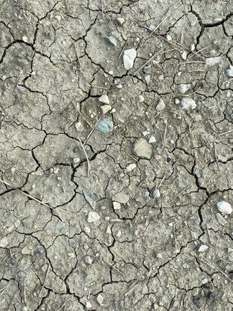 Dry cracked earth background texture.の写真素材