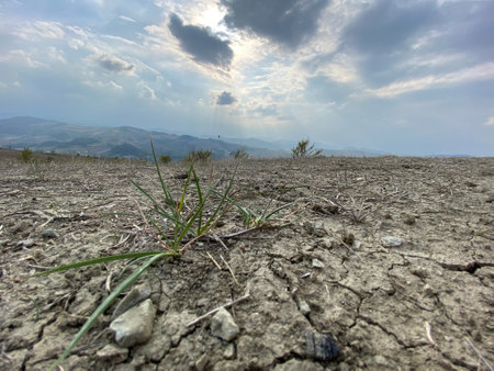 Landscape with dry and cracked earth. The concept of climate change.の写真素材