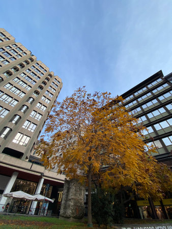 The city of Frankfurt am Main in Germany in autumn, Germany.の写真素材